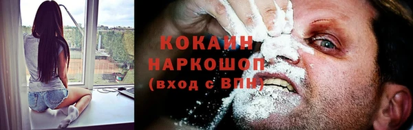 spice Верея