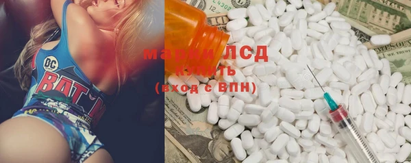 spice Верея