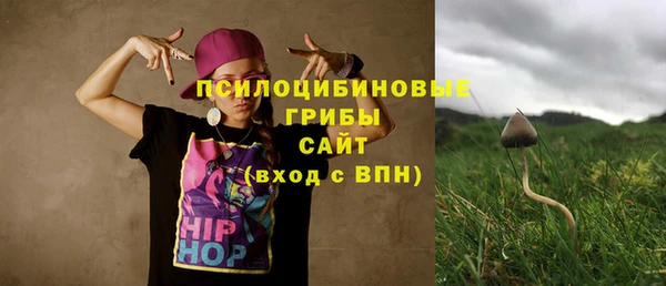 ALPHA-PVP Верхний Тагил