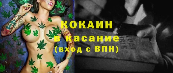 тгк Бородино