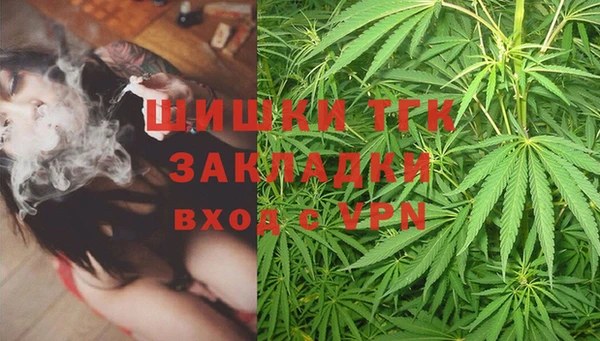 spice Верея